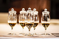 Podróż po Szkocji - degustacja Scotch Single Malt Whisky - 06.07.2018
